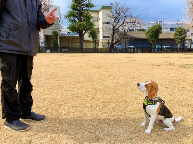 都内ペットスクール様
